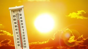 Read more about the article Staying Safe in the Heat!